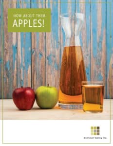apple business case study